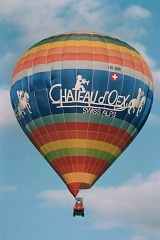 Coccinelle-montgolfiere - Cox Ballon (78)